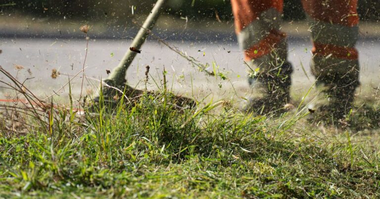 corte de grama em Campo Grande